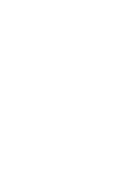 Stylized turtle above the text Intrepid Turtle Press in white.